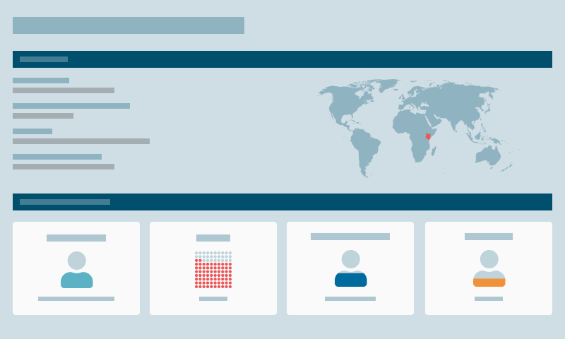 Graphic representation of Country Profile page