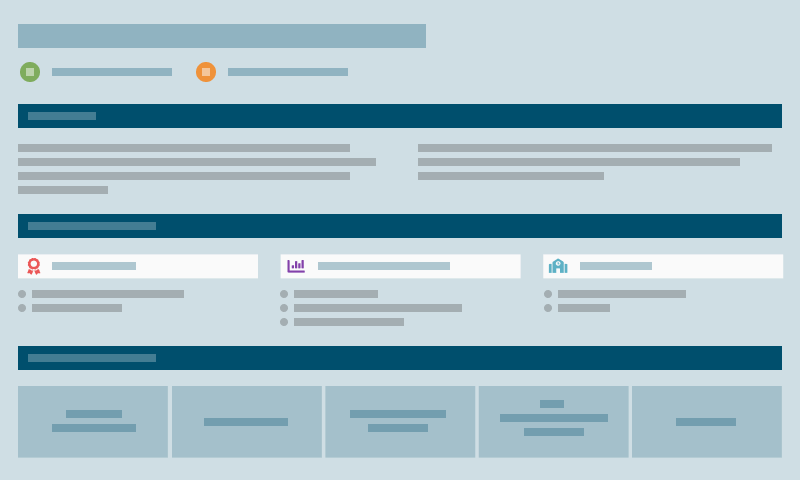 Graphic representation of Organization Profile page